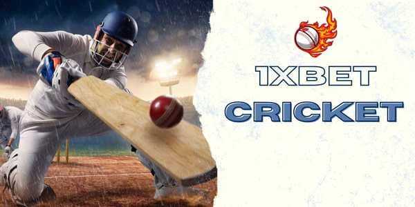1xbet Cricket